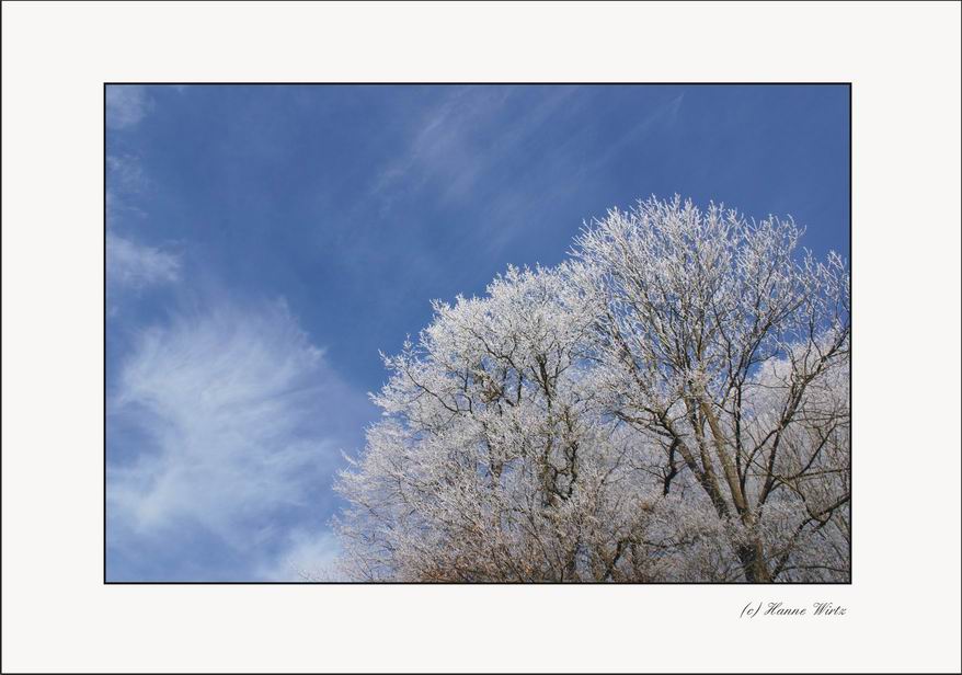 winterblau