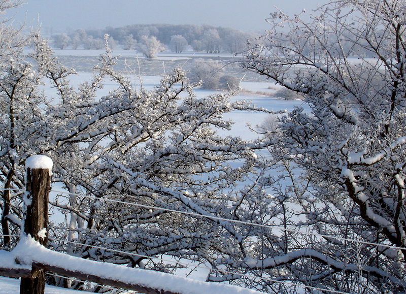 WinterBlau