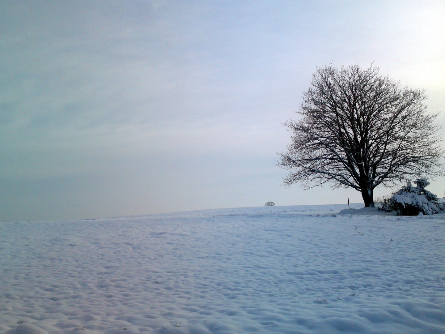 Winterblick