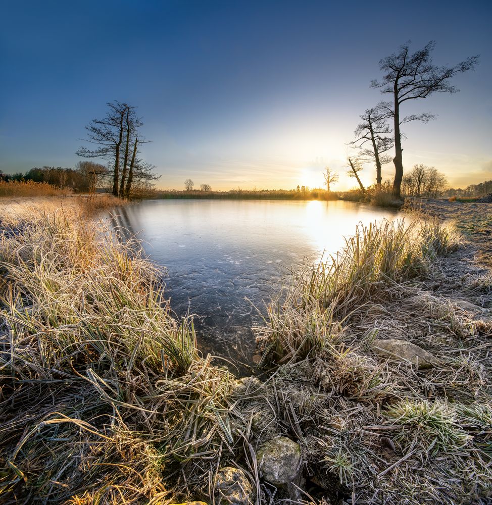 Winter:Blick