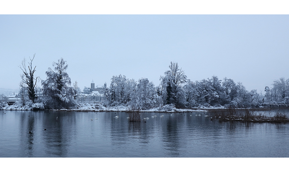 Winterblick auf Rapperwil