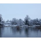 Winterblick auf Rapperwil