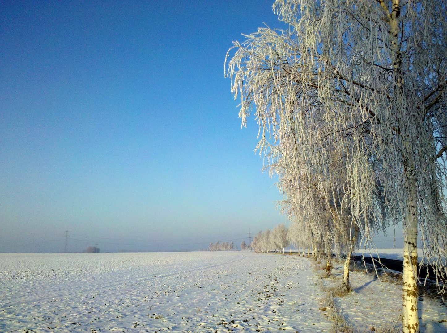 Winterblick