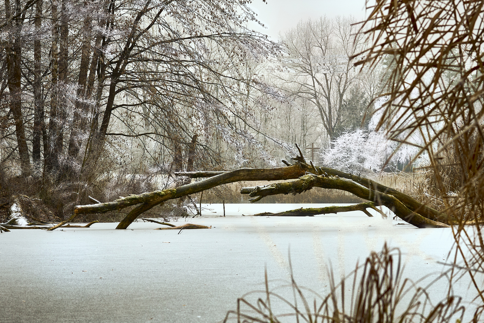 Winterblick bei Augsburg