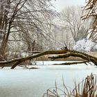 Winterblick bei Augsburg