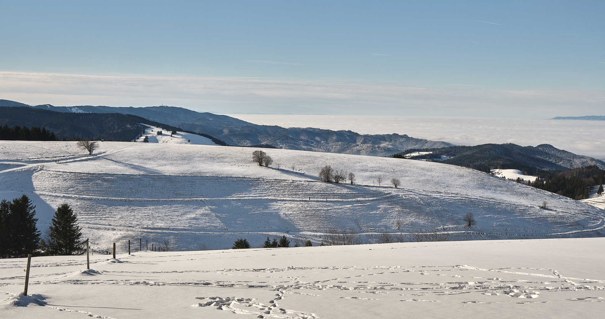 winter.blick