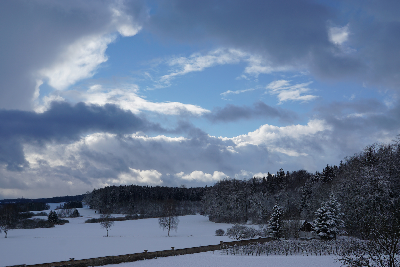 Winterblick