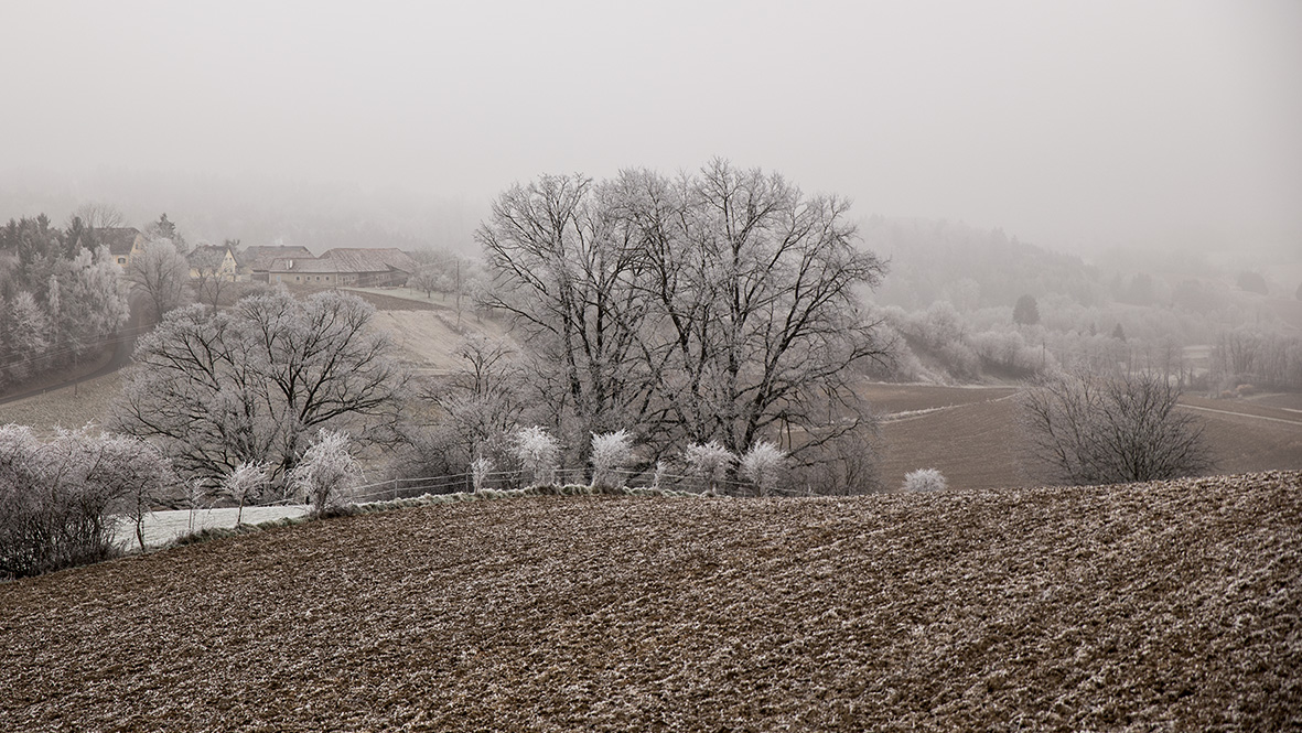 Winterblick