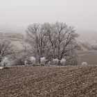 Winterblick