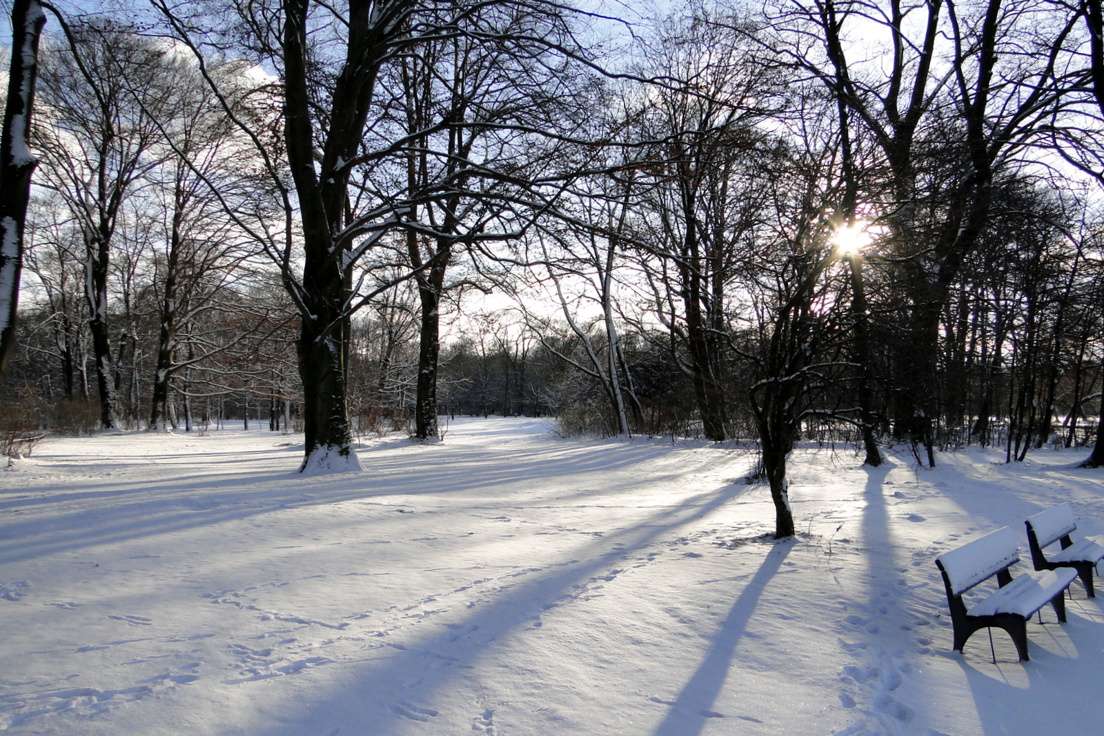 Winterblick durch den Englischen Garten