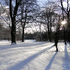 Winterblick durch den Englischen Garten