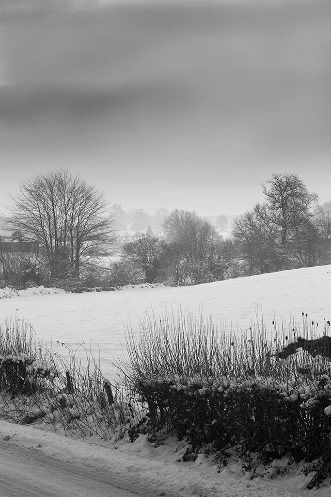 Winterblick durchs ehemalige Niemandsland