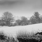 Winterblick durchs ehemalige Niemandsland