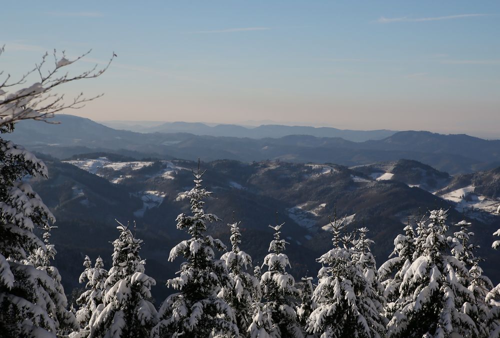 ...Winterblick...