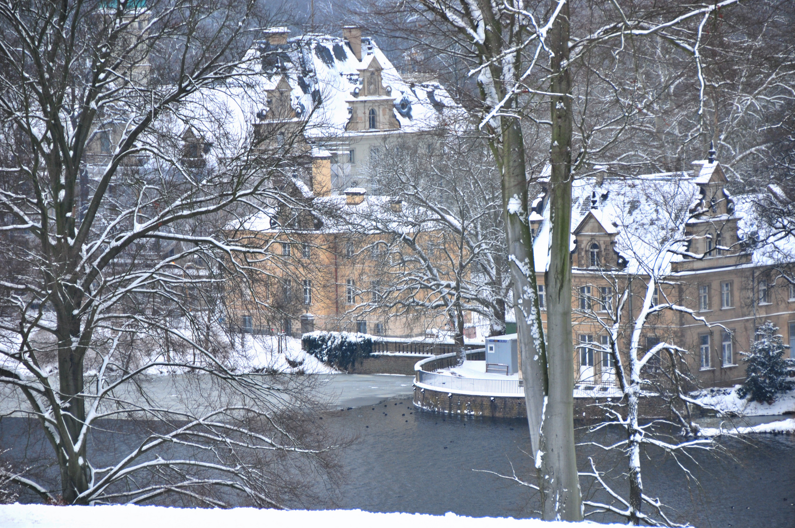 Winterblick