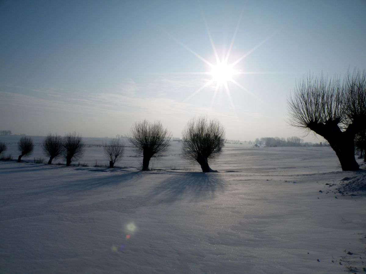 Winterblick über die Insel Poel