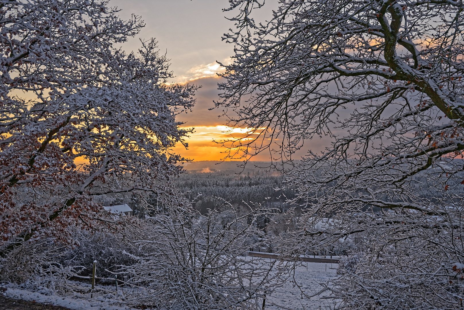 Winterblick von der Hohen Tann