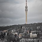 Winterblick zum Telespargel