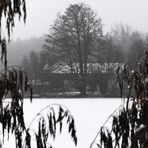 Winterblues, den richtig guten gibts daheim