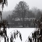 Winterblues, den richtig guten gibts daheim