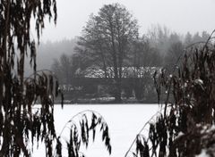 Winterblues, den richtig guten gibts daheim