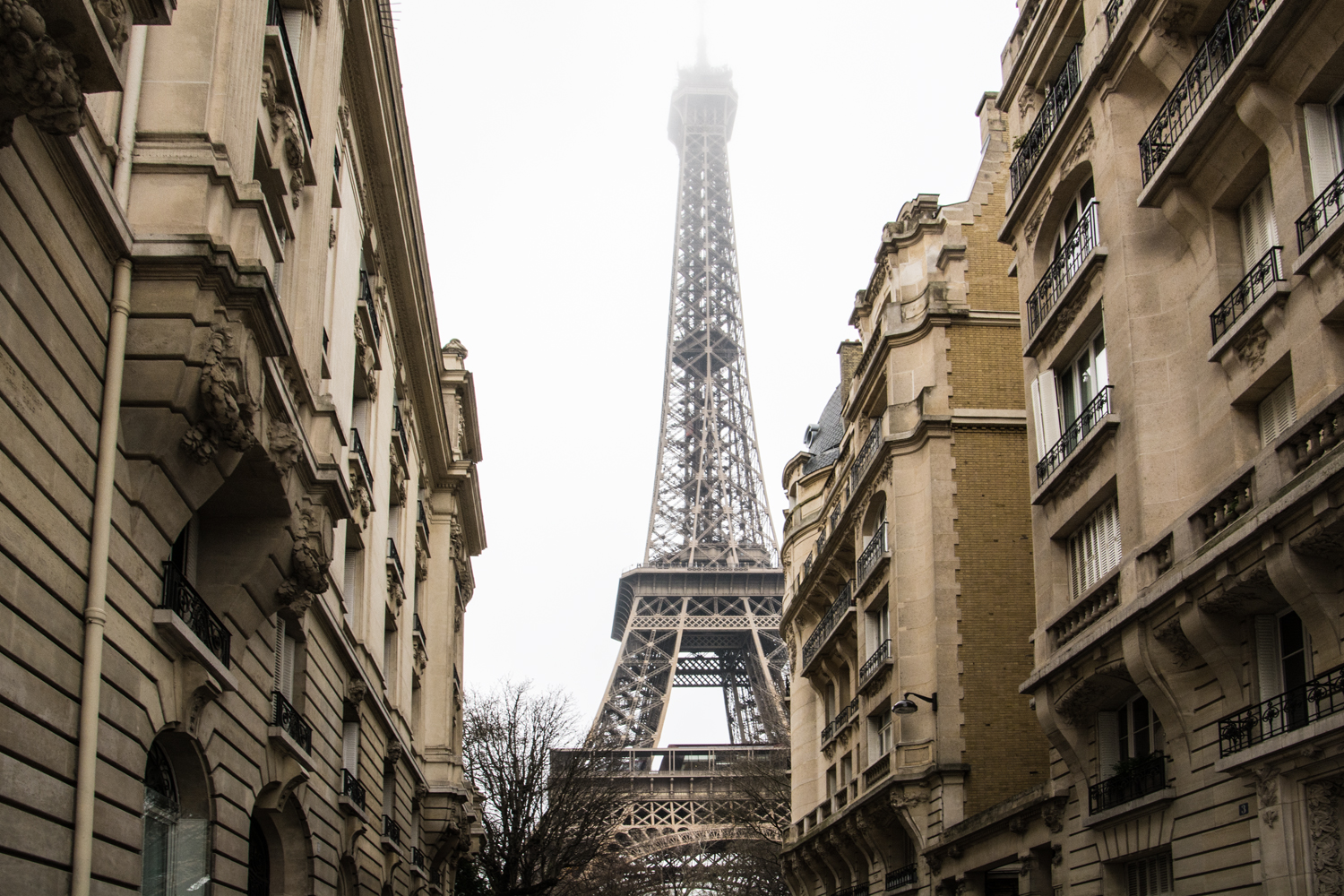 Winterblues in Paris