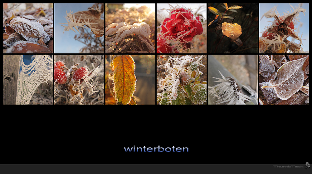 * winterboten *