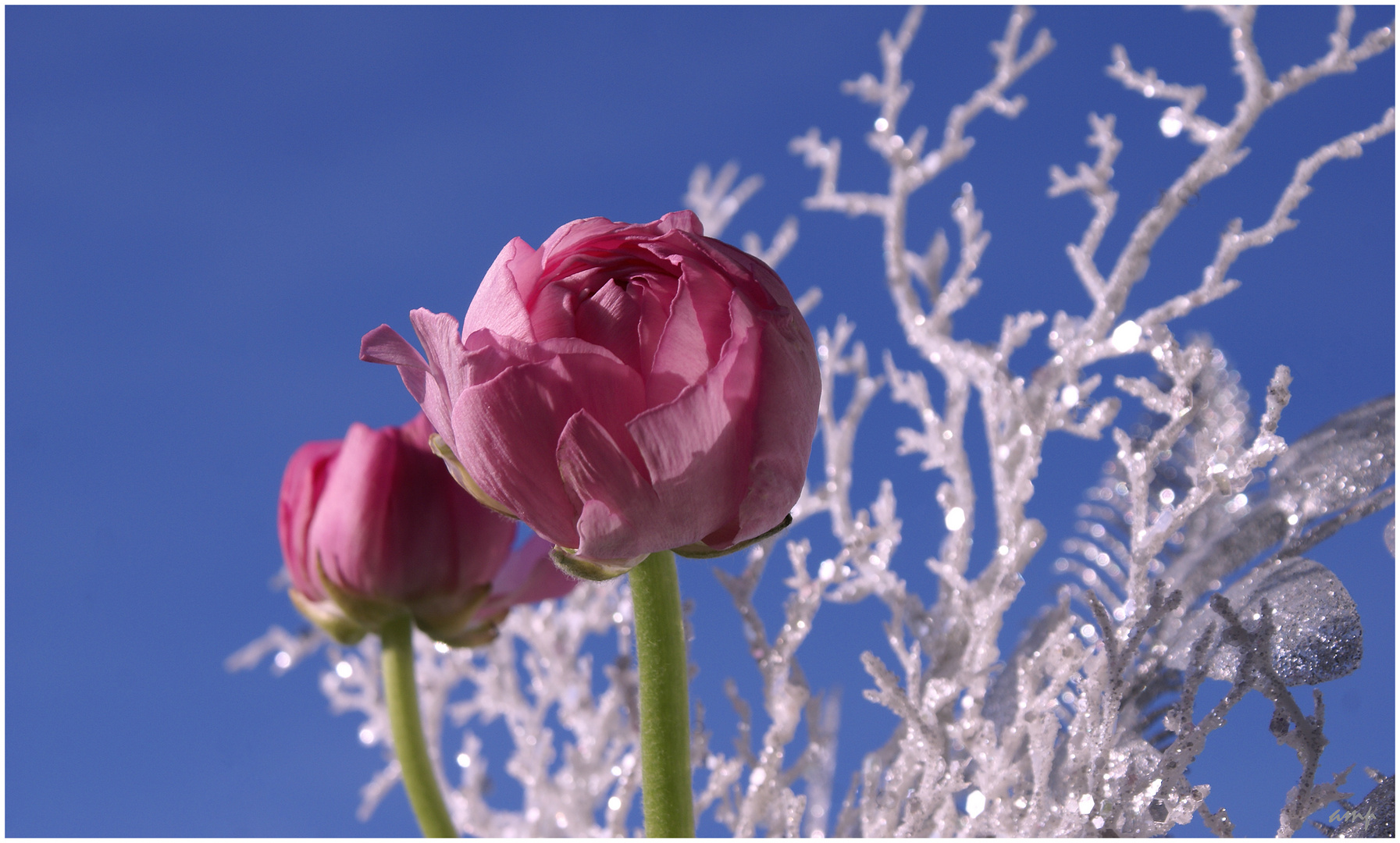 Winterbouquet