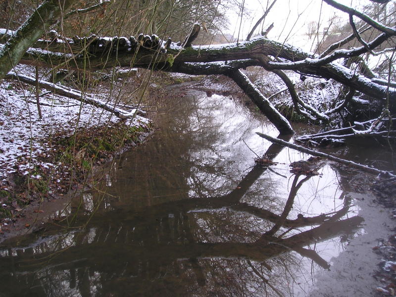 Winterbrücke