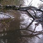 Winterbrücke