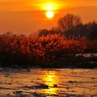 Winterclicher Sonnenuntergang am See