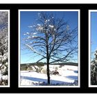 Wintercollage