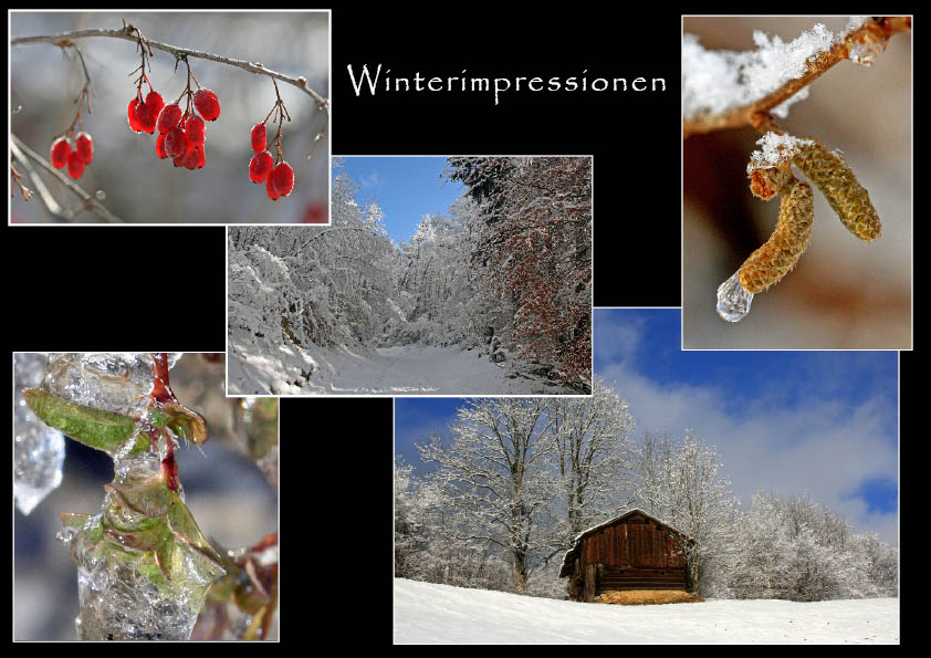 Wintercollage 2009