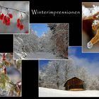 Wintercollage 2009