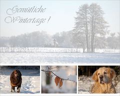 Wintercollage