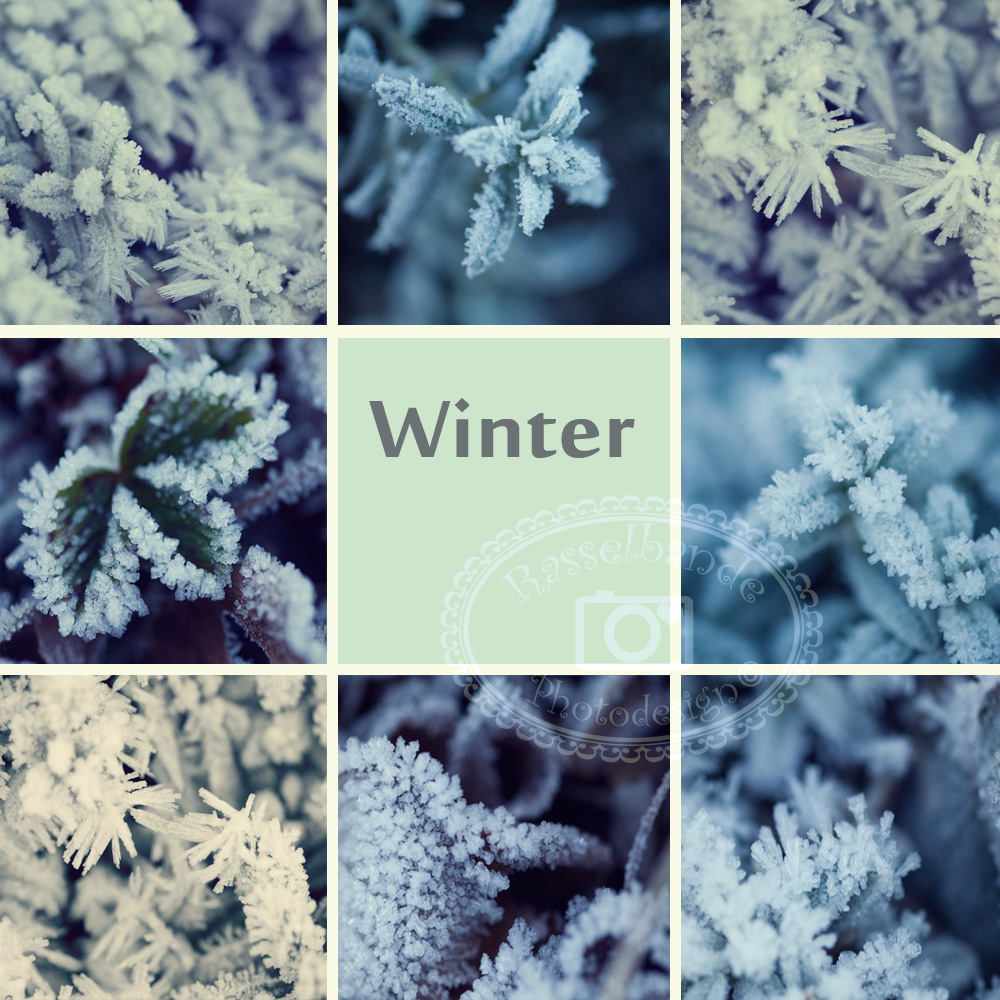 Wintercollage