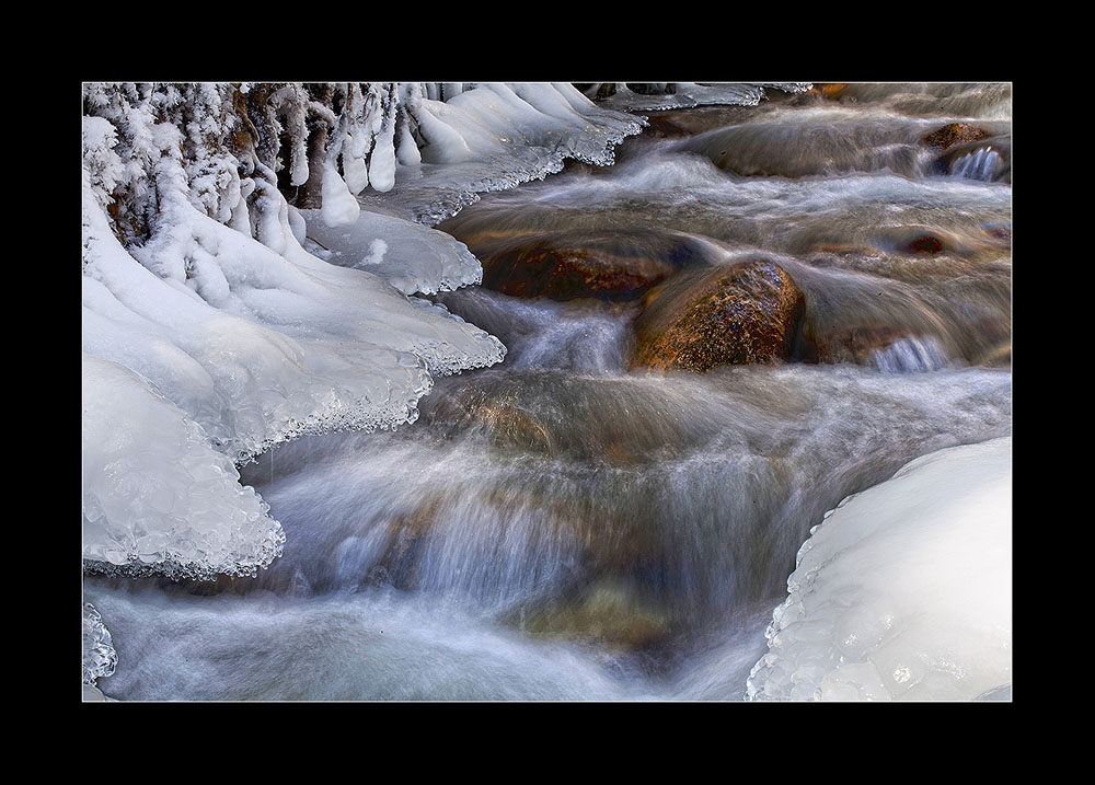 wintercolors