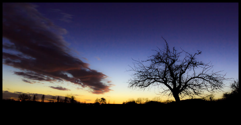 Winterdämmerung