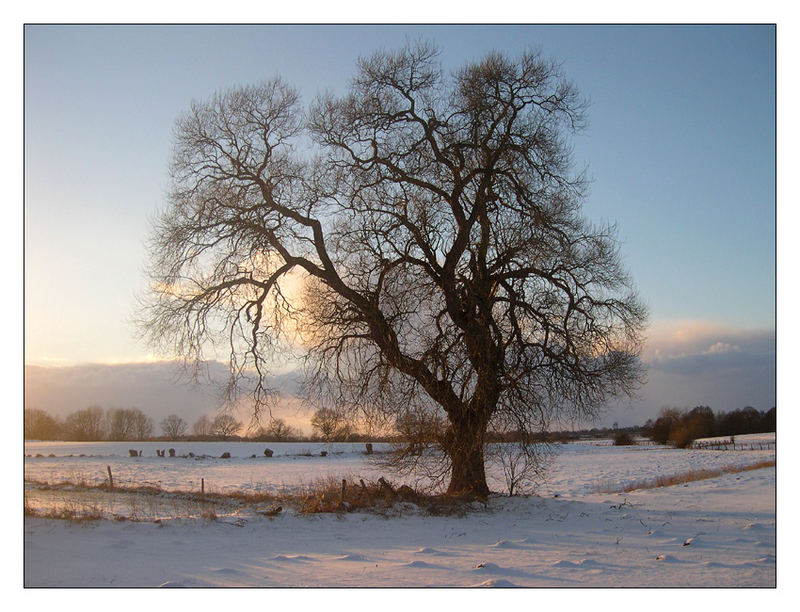 Winterdämmerung....