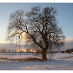 Winterdämmerung....