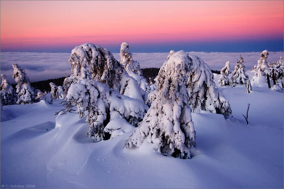 Winterdämmerung