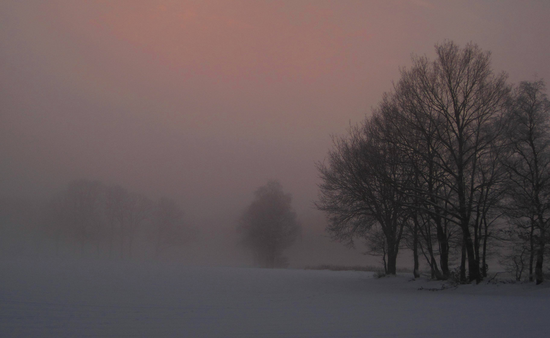 Winterdämmerung