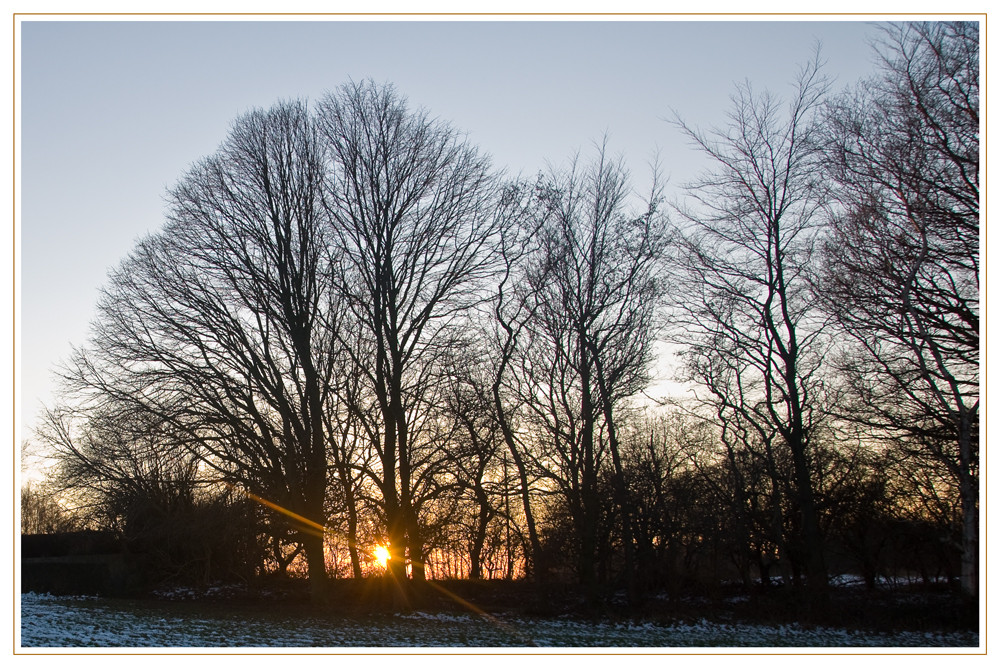 Winterdämmerung