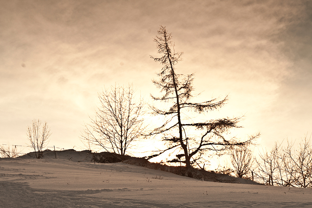 Winterdämmerung