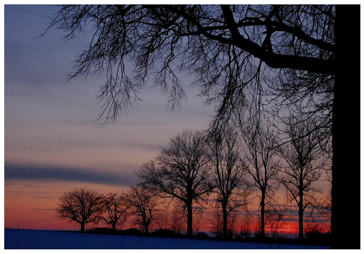 Winterdämmerung