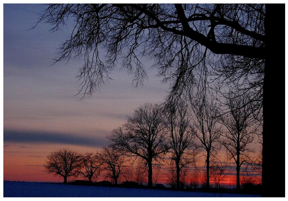 Winterdämmerung