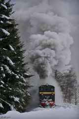 Winterdampf