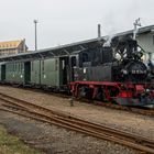 Winterdampf auf der Döllnitzbahn