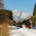 Winterdampf auf der Preßnitztalbahn