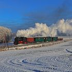 Winterdampf auf Rügen